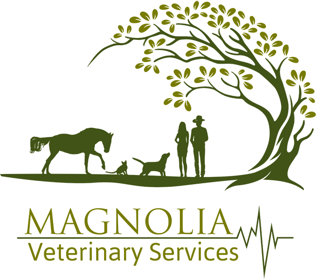 Magnolia Veterinary Services
